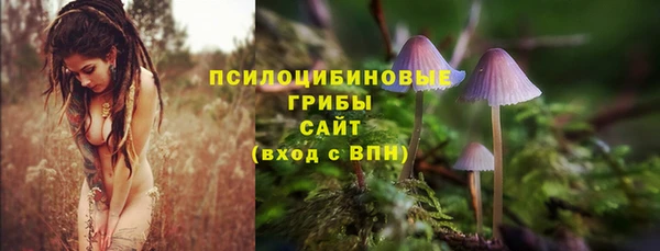 прущие грибы Богородск
