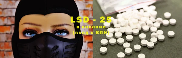 прущие грибы Богородск