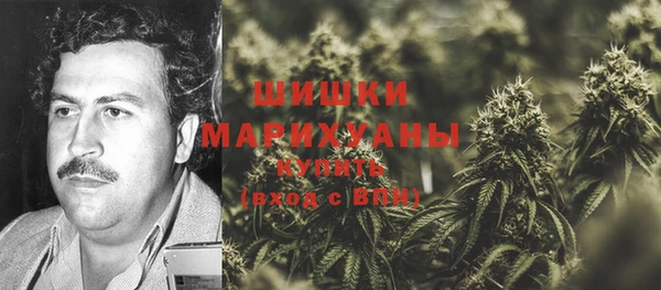 прущие грибы Богородск