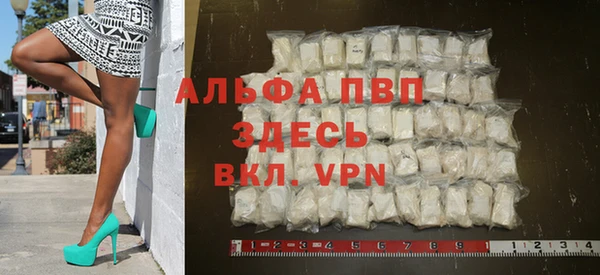 прущие грибы Богородск