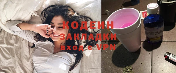 прущие грибы Богородск
