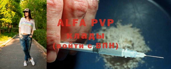 прущие грибы Богородск
