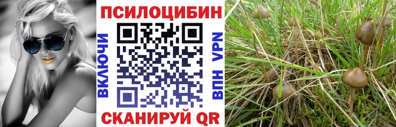 купить  цена  Мостовской  Галлюциногенные грибы мицелий 